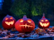 Three Halloween pumpkins in a garden — Stock Photo