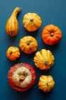 Autumn harvest, pumpkins, leaves, pumpkin, seeds, top view — Stock Photo