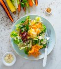 Ensalada de verduras crudas con zanahorias coloridas - foto de stock