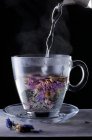 Close-up shot of Cornflower tea being brewed - foto de stock