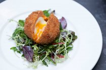 Huevo escocés con yema dorada - foto de stock