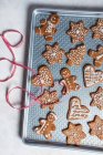 Пряничное печенье с сахарной глазурью на Рождество — стоковое фото
