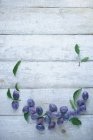 Damas com folhas em uma superfície de madeira branca rústica — Fotografia de Stock
