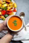 Creme de sopa de tomate com uma travessa de legumes misturados — Fotografia de Stock