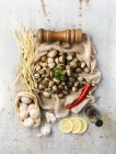 Крупным планом вкусные ингредиенты для спагетти-вонгола — стоковое фото