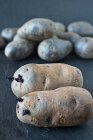Пурпурный картофель с побегами — стоковое фото