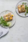 Primer plano de delicioso sándwich de huevo y atún - foto de stock