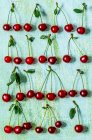 Modello di ciliegia fresca con rametti e foglie su sfondo turchese — Foto stock