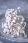 Primo piano di deliziosi funghi Enoki — Foto stock
