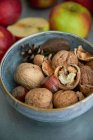 Волоські горіхи та лісові горіхи в керамічній мисці — стокове фото