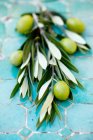 Olive verdi e olio d'oliva su fondo ligneo — Foto stock