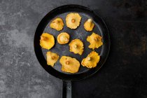 Fresh chanterelle on black baking pan — Foto stock