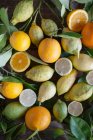 Различные органические цитрусовые фрукты с листьями на деревенском столе — стоковое фото