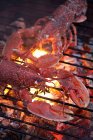 Lobster cooking on a BBQ — Stock Photo