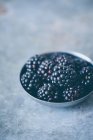 Freshly picked blackberries in a small metal bowl — Stock Photo