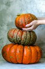 Three big beautiful pumpkins composed by a pyramid — Photo de stock