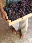 Homme plus âgé tenant une boîte à bois avec des raisins secs biologiques — Photo de stock