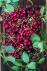 Кислые вишни в коробке — стоковое фото