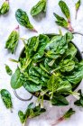 Young leaves of spinach in a metal bowl on a concrete background — Stock Photo