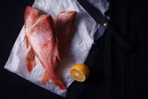 Peixe cru não cozido poleiro no fundo preto com limão — Fotografia de Stock