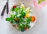 Feldsalat mit Ei und Karotten — Stockfoto