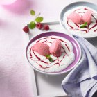 Champagne and raspberry mousse on mint and yoghurt sauce with raspberry puree — Stock Photo