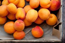 Apricots (filling the image) — Stock Photo