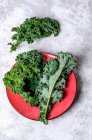 Fresh kale leaves on a red plate and on a concrete background — Foto stock