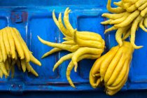 Крупним планом знімок смачних лимонів пальців на синьому фоні — стокове фото