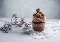 Веганський десерт з шоколадного пудингу, шоколадного кварку, малинового джему, вискоченого вівса, шоколадного масла та шоколаду — стокове фото