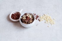 Schokolade und Avocadocreme mit Kakao — Stockfoto