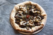Pizza condita con melanzane, formaggio di capra, rosmarino, peperoncino e olive verdi — Foto stock