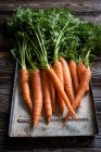Букет молодої моркви в сільській металевій бляшанці — стокове фото