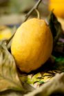 Frische reife Zitrone mit trockenen Blättern — Stockfoto