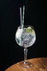 Gin tonic con cetriolo fresco — Foto stock