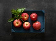 Свежие красные яблоки Эльстар в деревянном ящике — стоковое фото