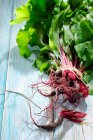 Young beetroot with leaves — Stock Photo