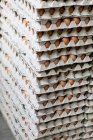 Pallets of egg boxes with brown eggs — Stock Photo