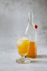 Té Earl Grey con rodajas de manzana y cubitos de hielo en un vaso y en una botella - foto de stock