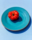 Rote Tomate auf blauem Teller — Stockfoto