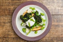 Burrata with broccoli pesto — стокове фото