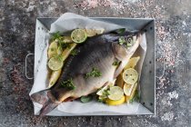 Fresh carp in a dish with lemon and lime — Stock Photo
