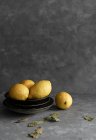 Limoni organici su piastre impilate e su superfici in calcestruzzo con foglie secche — Foto stock