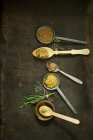 Different types of mustard on spoons, thyme, rosemary — Stock Photo