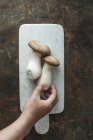 Fresh king trumpet mushrooms on a marble board — Foto stock