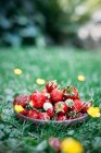Fresh strawberries in bowl on green lawn with flowers — Stock Photo