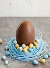 Huevo de Pascua grande de chocolate, sentado en un nido de caramelos de arándanos, lleno de mini huevos de chocolate - foto de stock