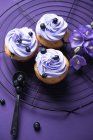 Cupcakes veganos con arándanos y cobertura de crema morada - foto de stock