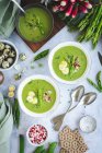 Sopa de espárragos verdes con rábanos y huevos - foto de stock