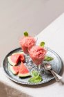 Deliciosa granita de melancia em copos com fatias de melancia fresca e folhas de hortelã na bandeja de metal — Fotografia de Stock